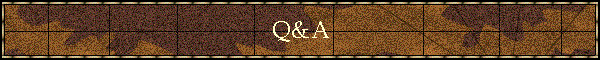 Q&A